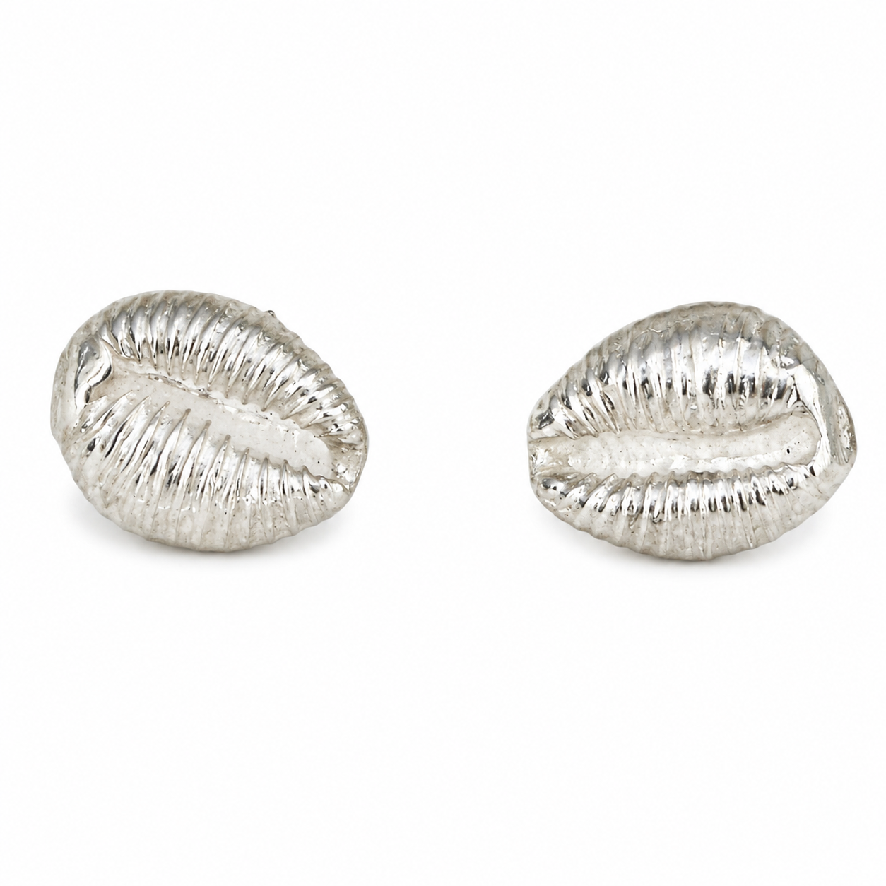 Cowrie shell earrings