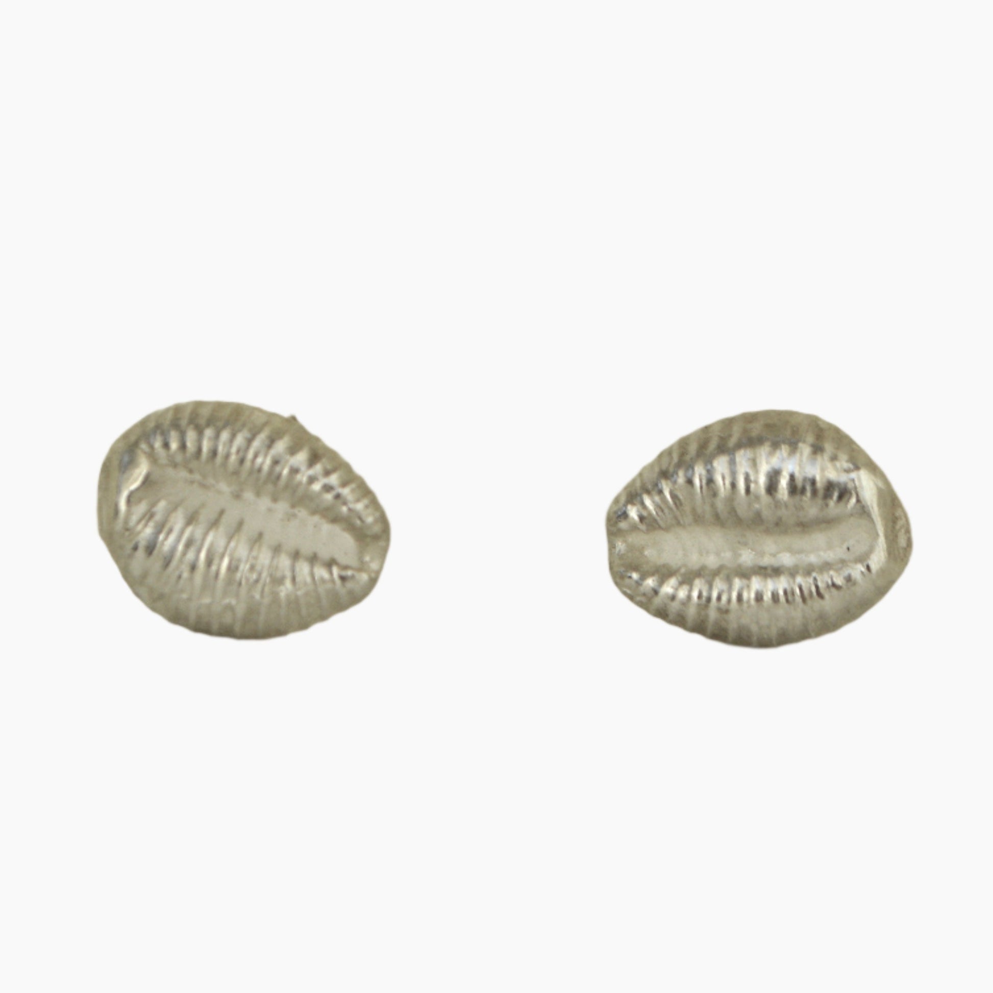 Sterling silver cowrie shell earrings