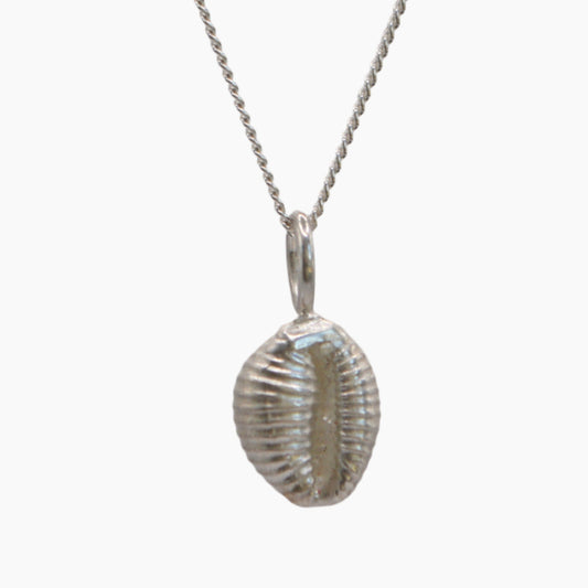 cowrie shell pendant