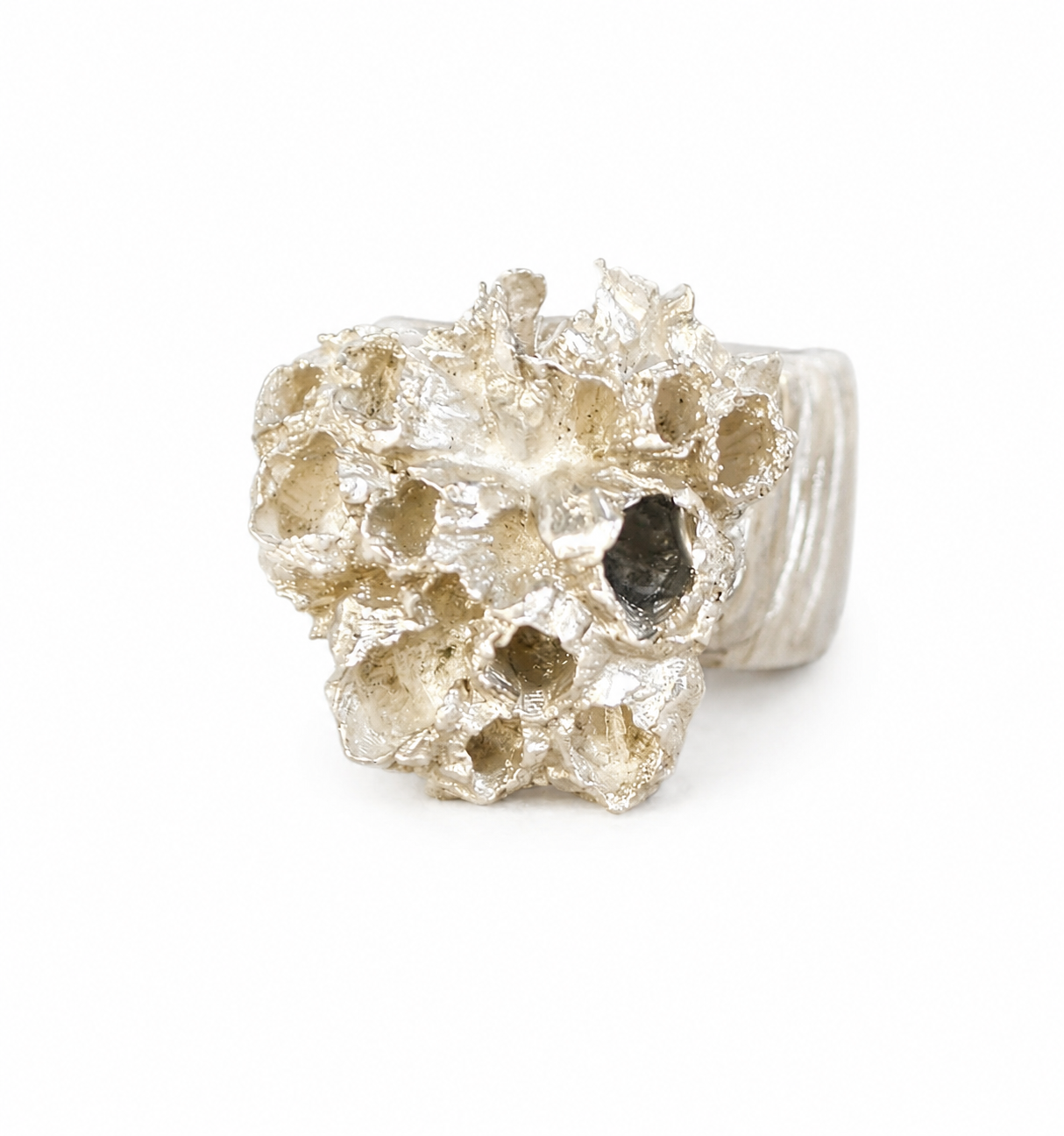 a silver statement ring inspired by nature